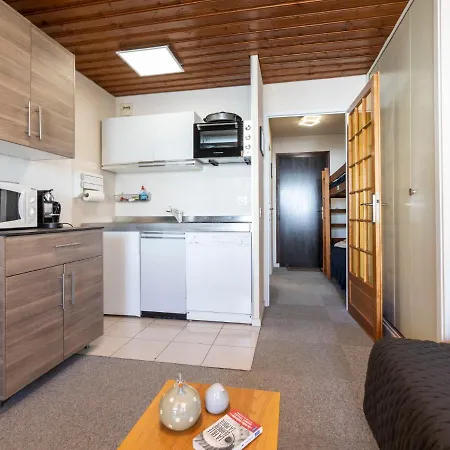 Apartment Serac S4 By Interhome 公寓 *